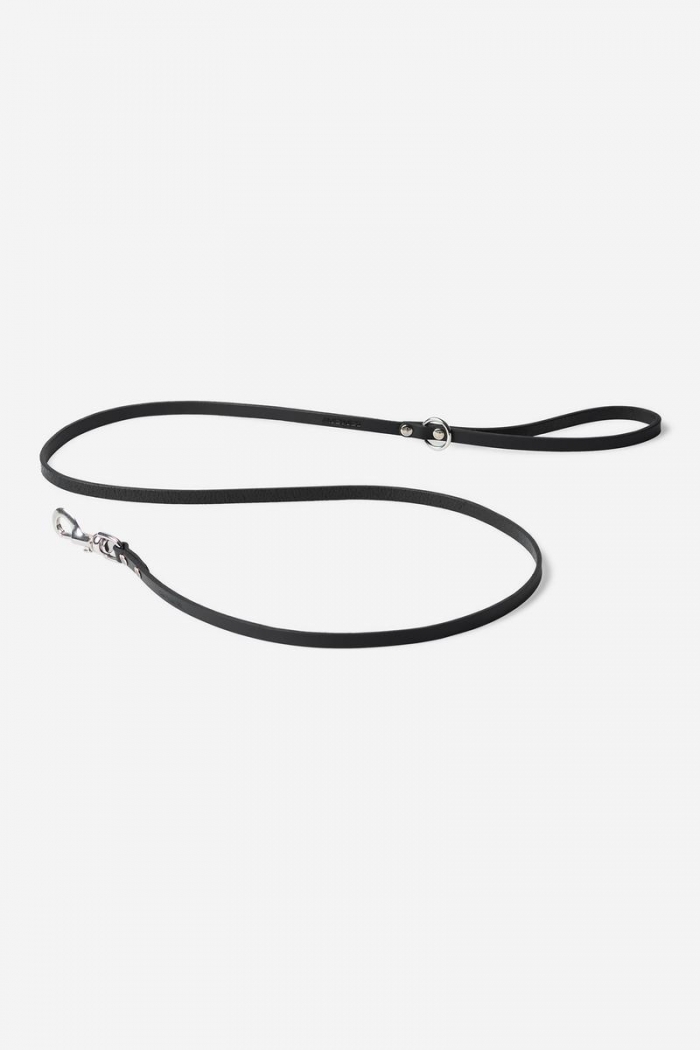 Carhartt Script Studs Dog Leash - Black