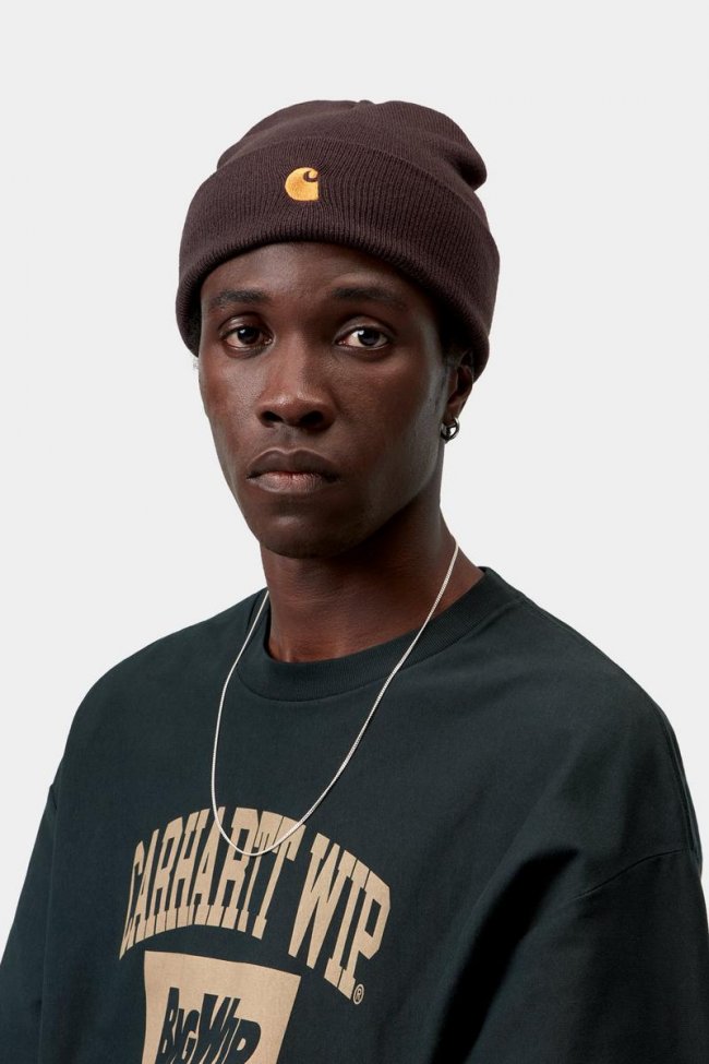 Carhartt Chase Beanie - Palisander / Gold