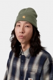 Carhartt Chase Beanie - Leaf / Gold