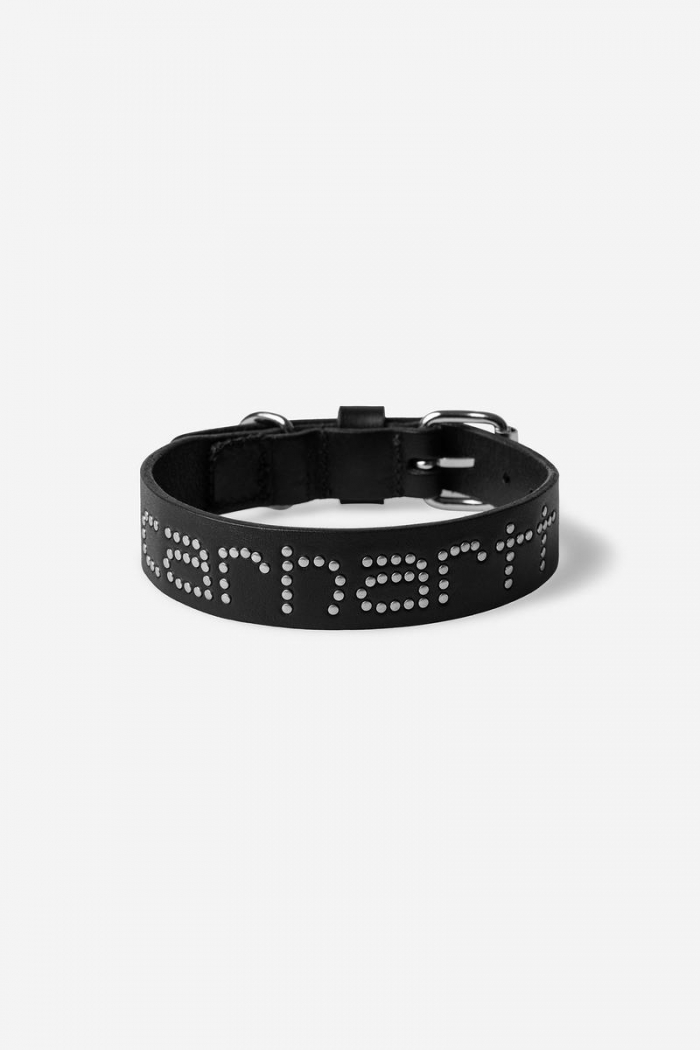 Carhartt Script Studs Dog Collar - Black - S/M