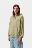 Carhartt Hooded Nelson Sweatshirt - Gentle Green, Garment dyed Carhartt Hooded Nelson Sweatshirt - Gentle Green, Garment dyed