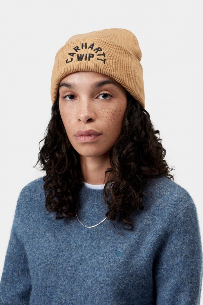 Carhartt Arch Script Beanie - WIP Dusty H / Black