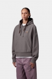Carhartt Hooded American Script Sweatshirt - Porphyry