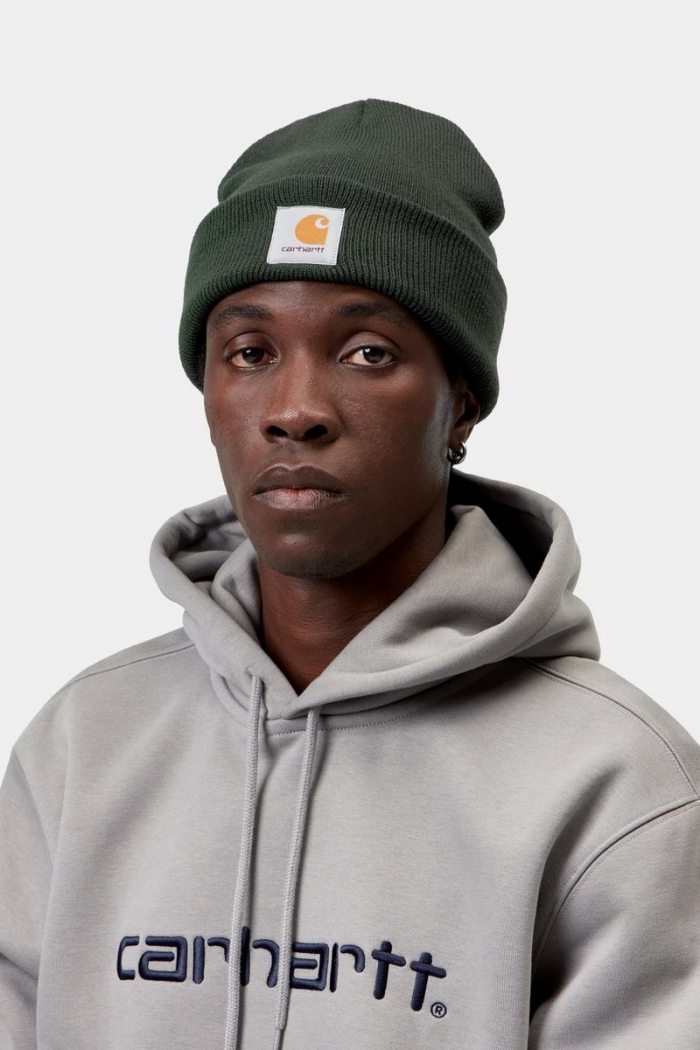 Carhartt Short Watch Hat - Dark Scarab