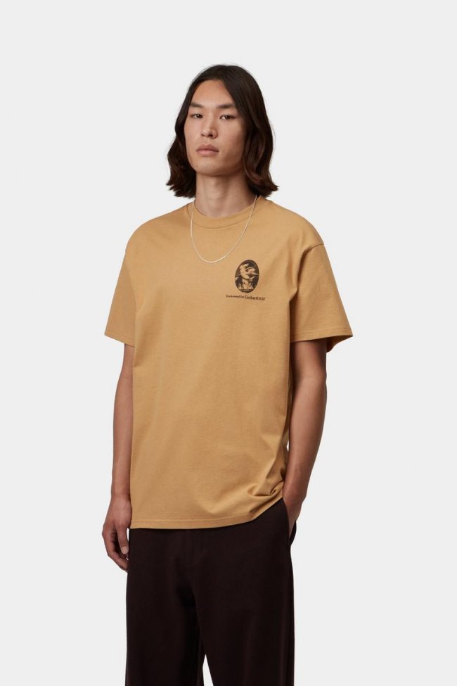 Carhartt S/S Vote T-Shirt - WIP Dusty H