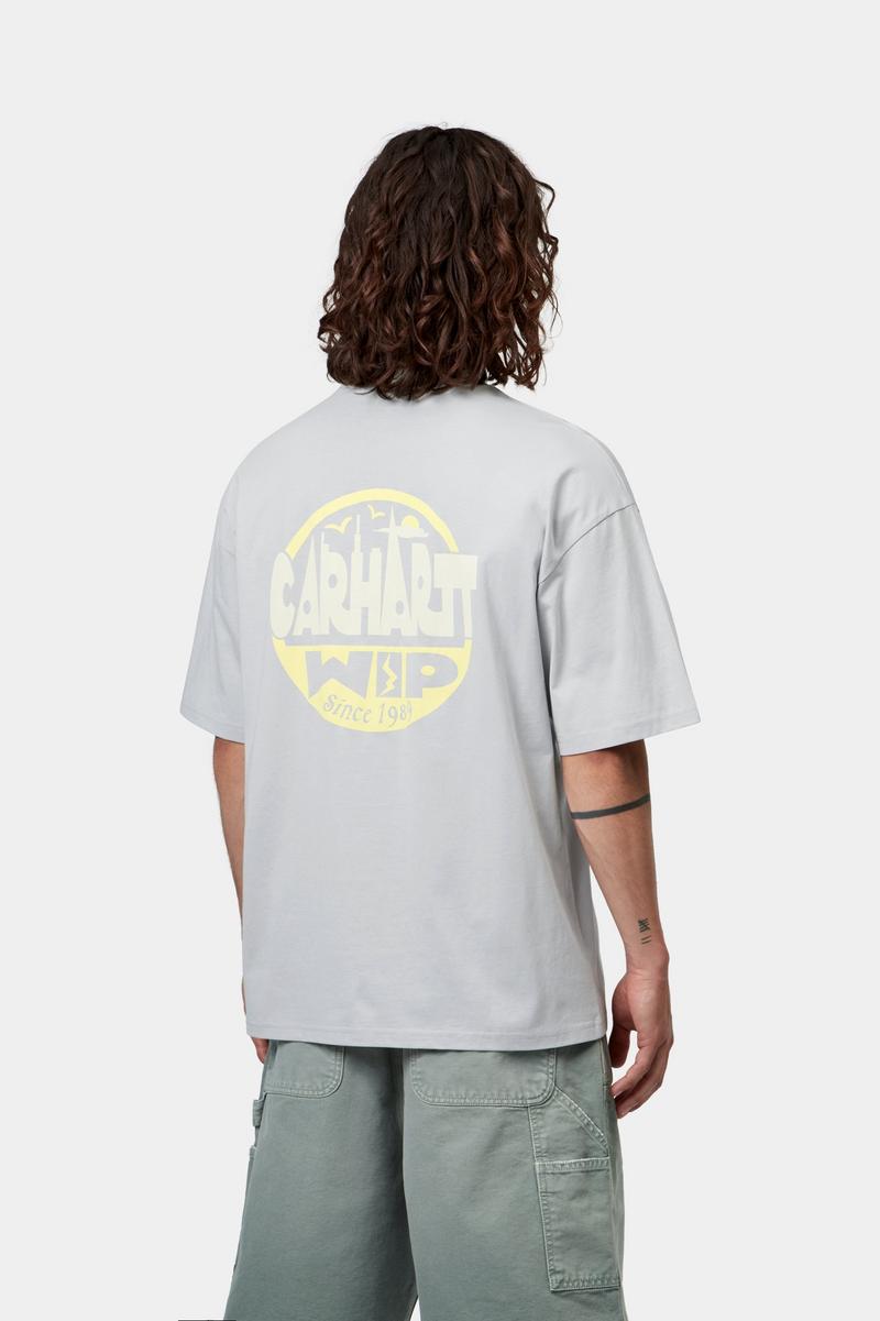 Carhartt S/S Luggage Label T-Shirt - Pontiki