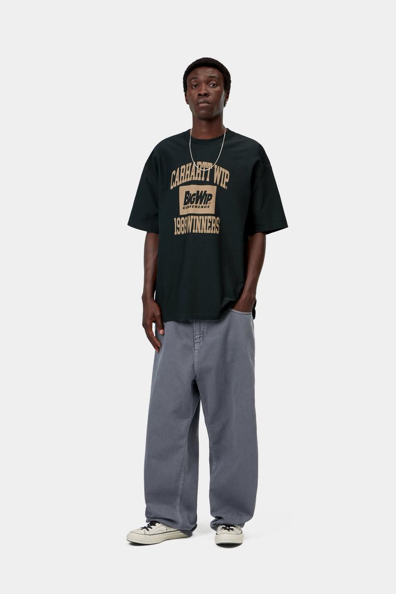 Carhartt Brandon Pant - Styx, Stone dyed