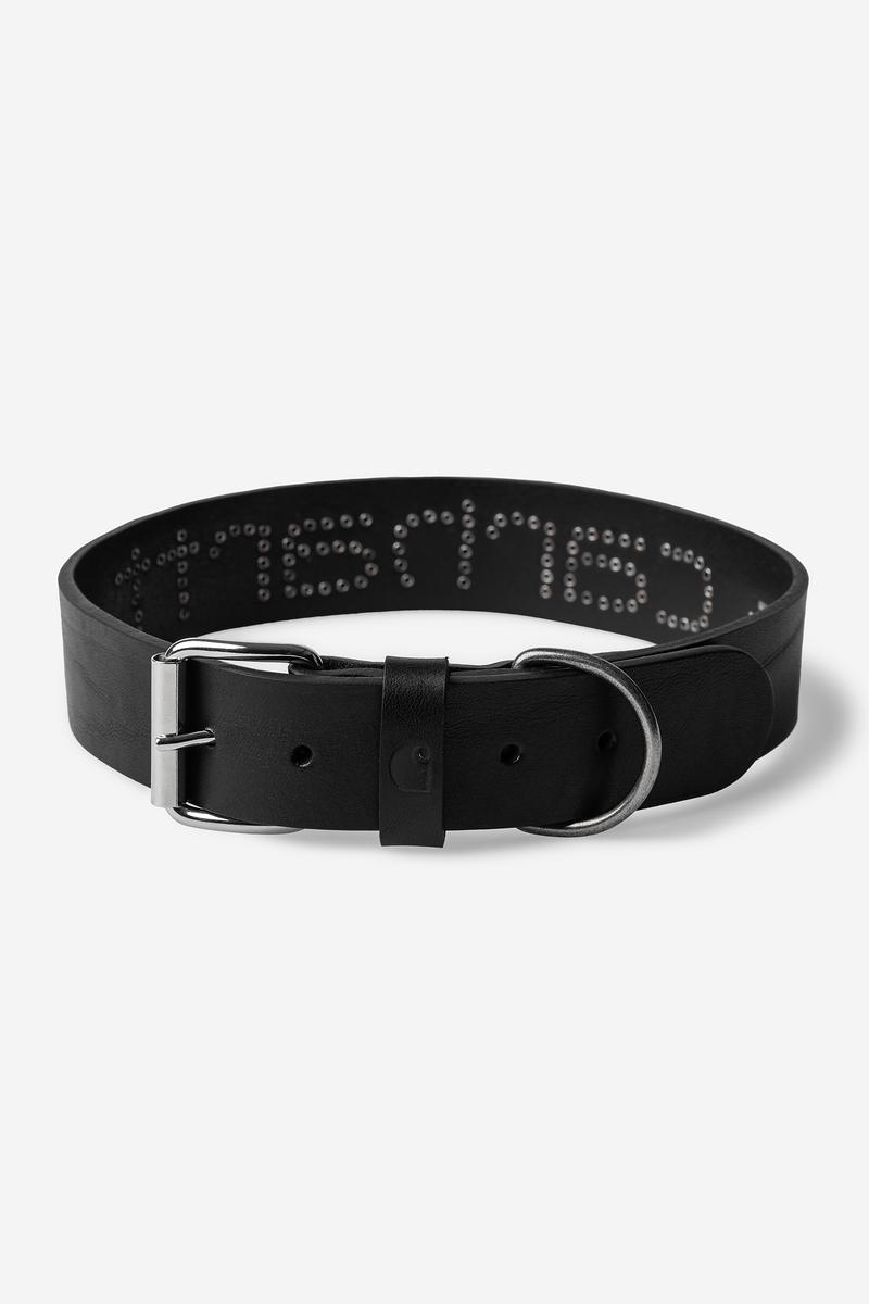 Carhartt Script Studs Dog Collar - Black - M/L